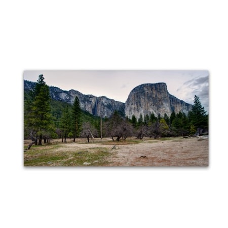 David Ayash 'Yosemite National Park - California-II' Canvas,12x24